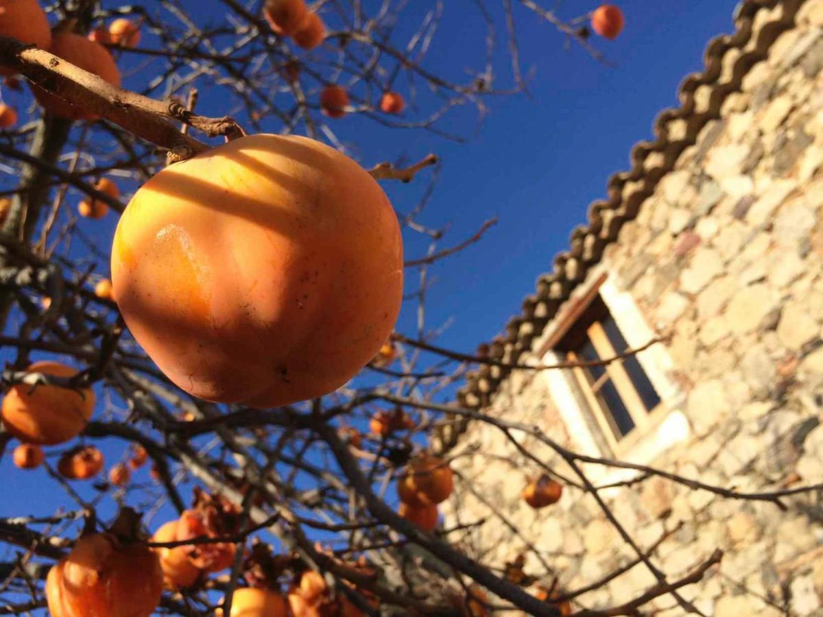 Masia De Vallforners Tagamanent Extérieur photo
